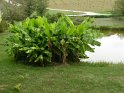 2018-09-21 11-16-55 Rando Combas MBo